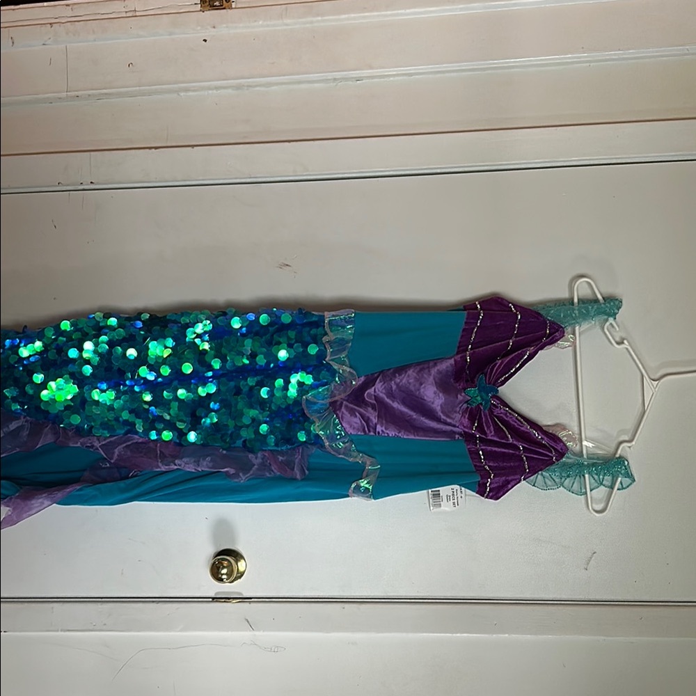 Glamorous Purple and Blue Mermaid Gown